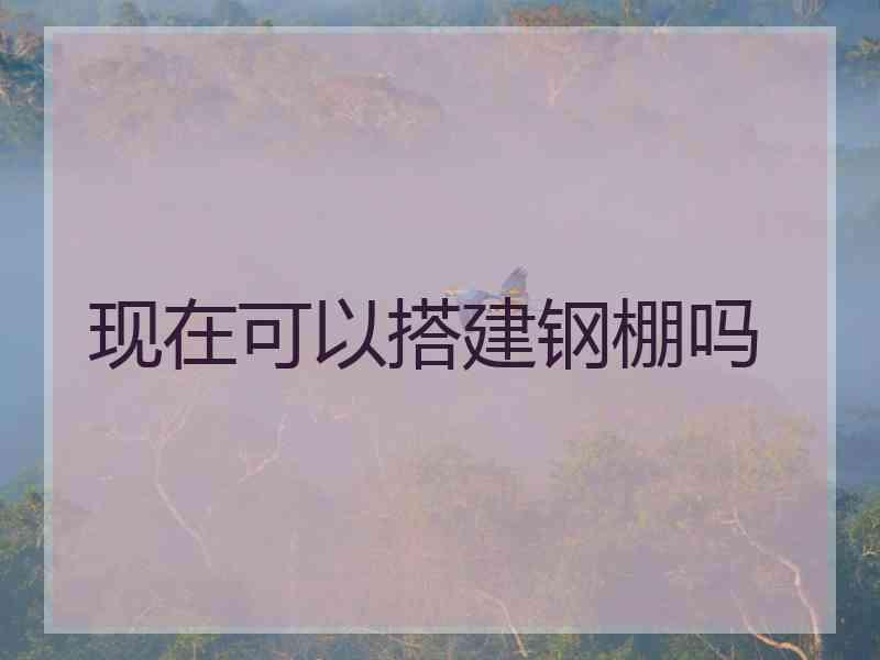 现在可以搭建钢棚吗