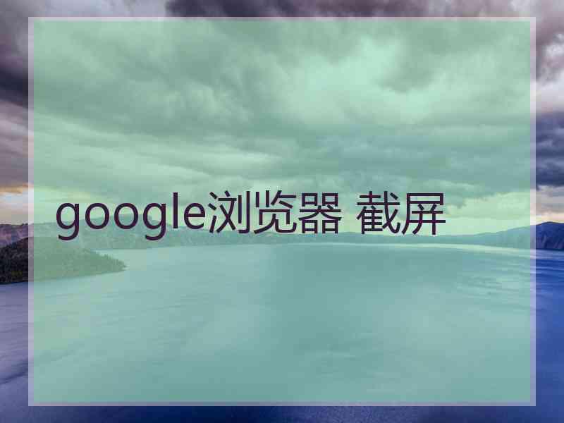 google浏览器 截屏