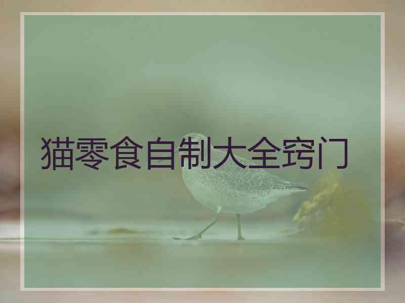 猫零食自制大全窍门