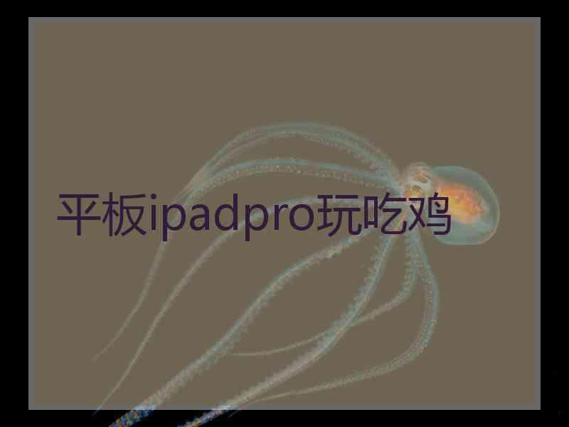 平板ipadpro玩吃鸡