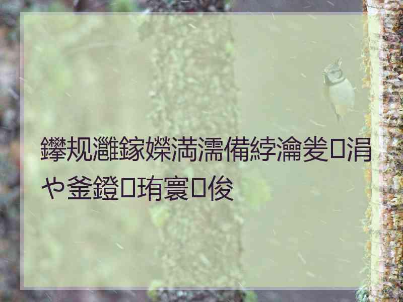 鑻规灉鎵嬫満濡備綍瀹夎涓や釜鐙珛寰俊