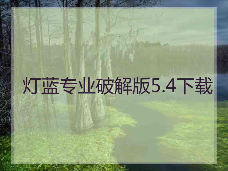 灯蓝专业破解版5.4下载