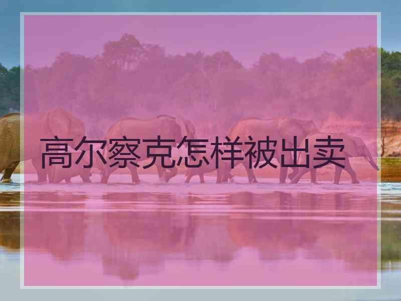 高尔察克怎样被出卖