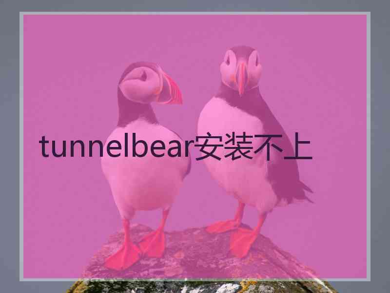 tunnelbear安装不上