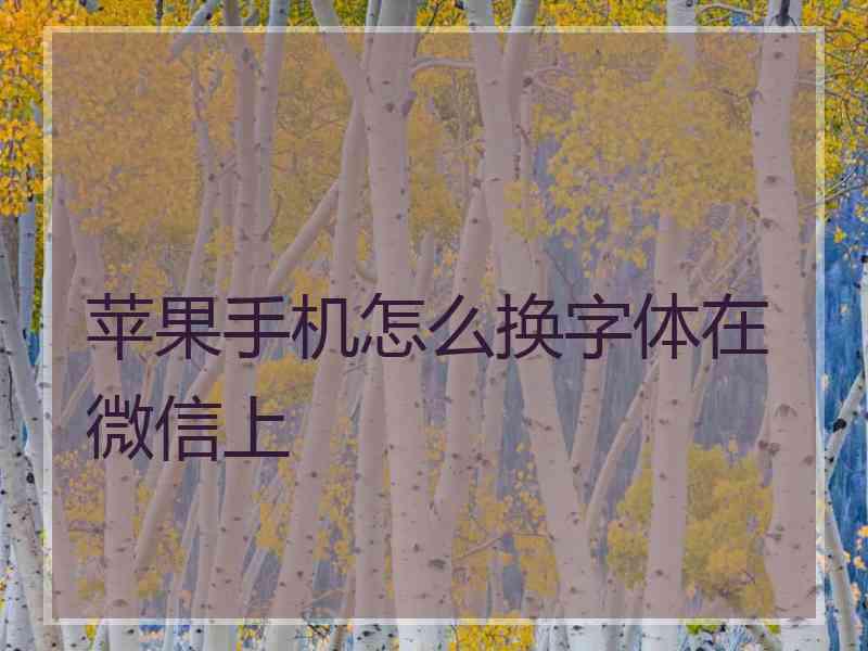 苹果手机怎么换字体在微信上