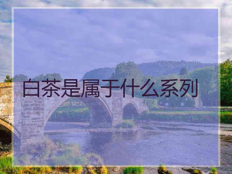 白茶是属于什么系列