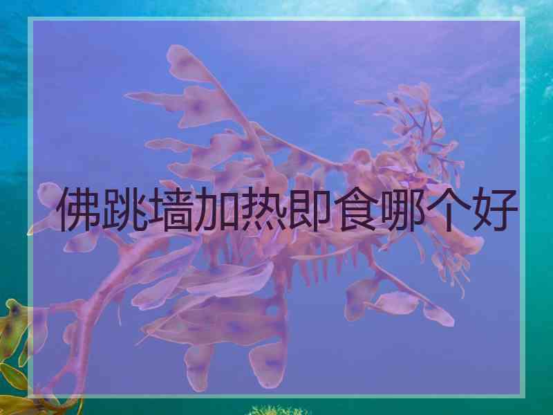 佛跳墙加热即食哪个好