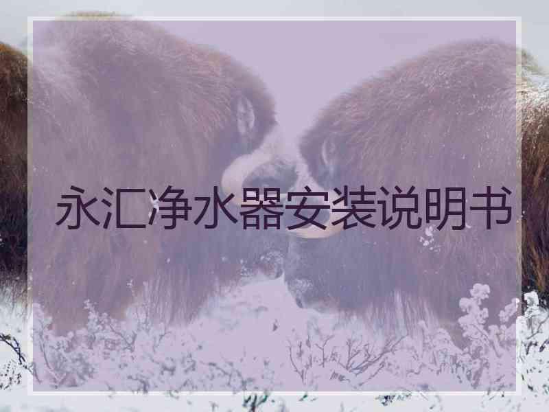 永汇净水器安装说明书