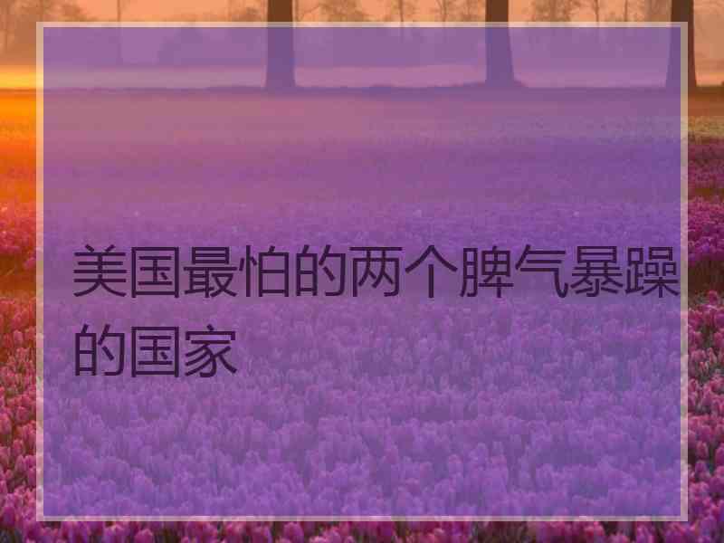 美国最怕的两个脾气暴躁的国家