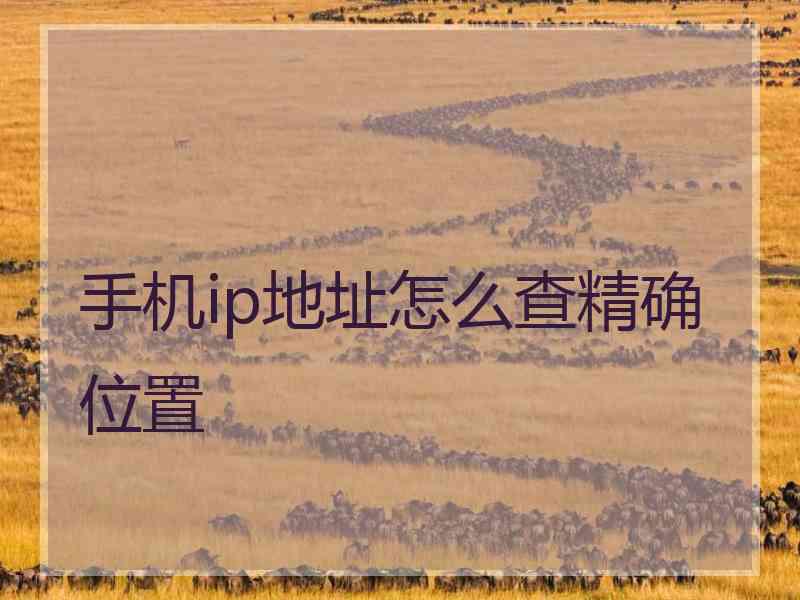 手机ip地址怎么查精确位置