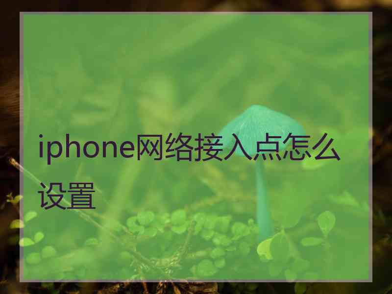 iphone网络接入点怎么设置