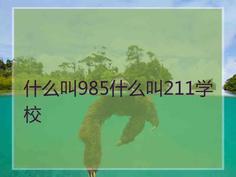 什么叫985什么叫211学校