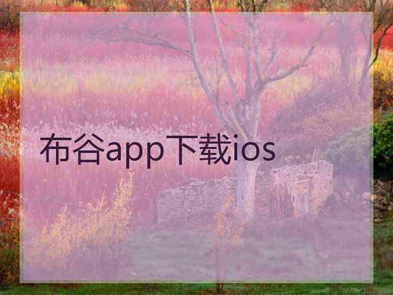 布谷app下载ios