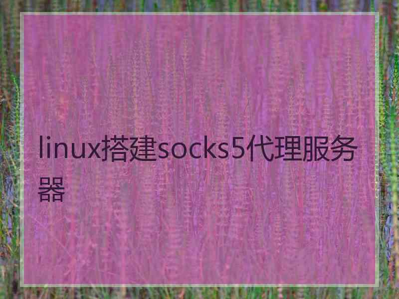 linux搭建socks5代理服务器