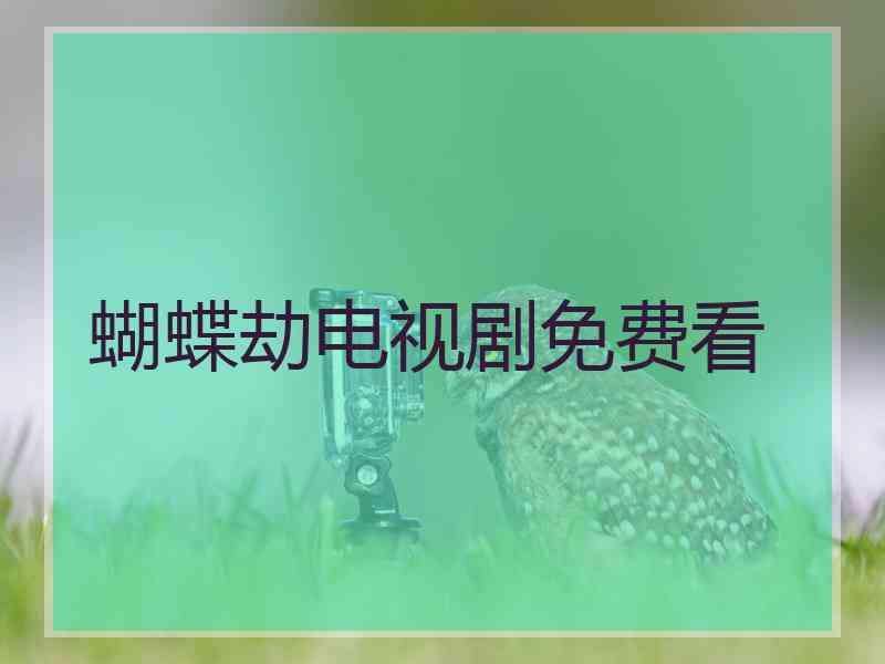 蝴蝶劫电视剧免费看