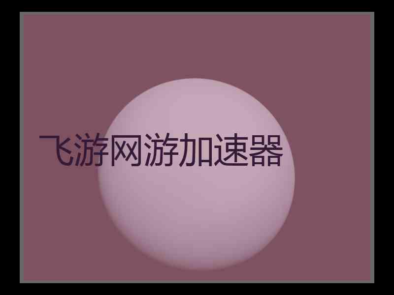飞游网游加速器