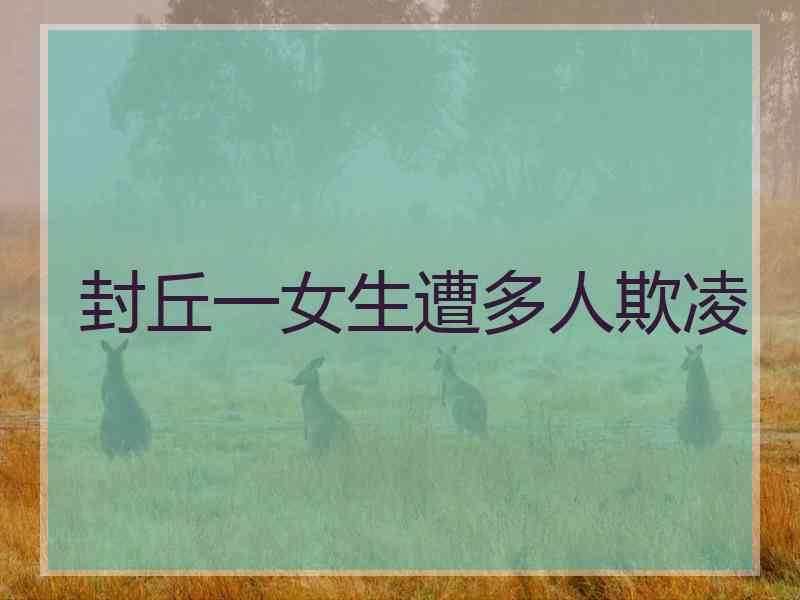 封丘一女生遭多人欺凌