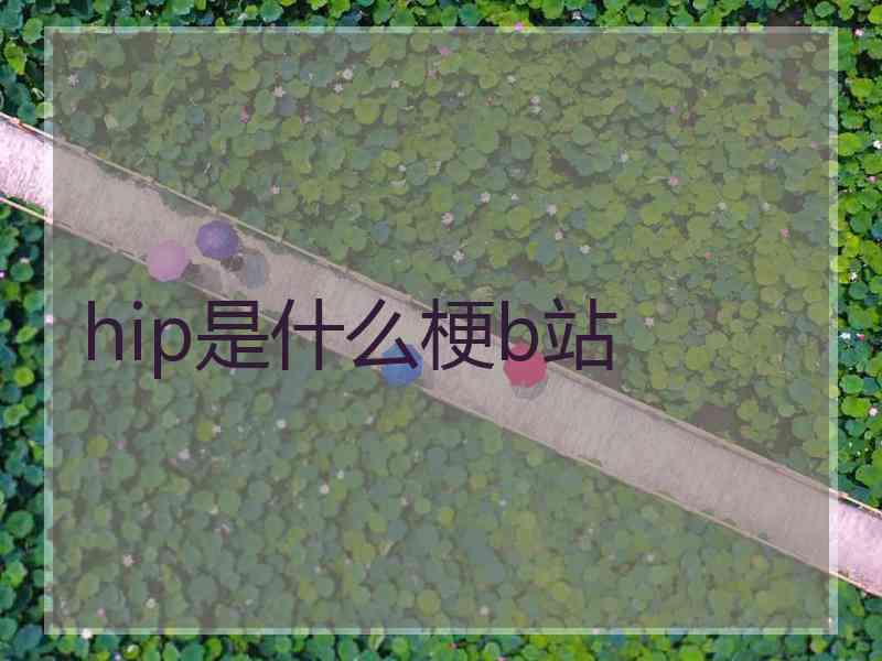 hip是什么梗b站