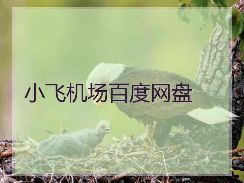 小飞机场百度网盘