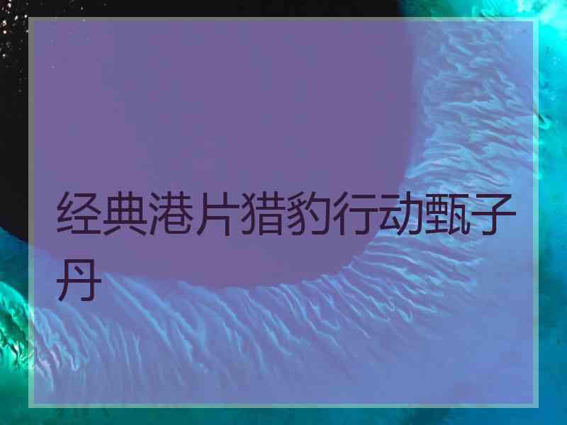 经典港片猎豹行动甄子丹