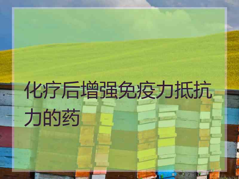 化疗后增强免疫力抵抗力的药