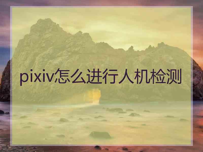 pixiv怎么进行人机检测
