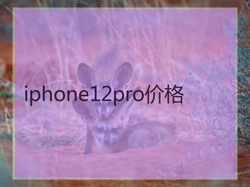 iphone12pro价格