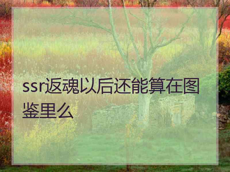 ssr返魂以后还能算在图鉴里么