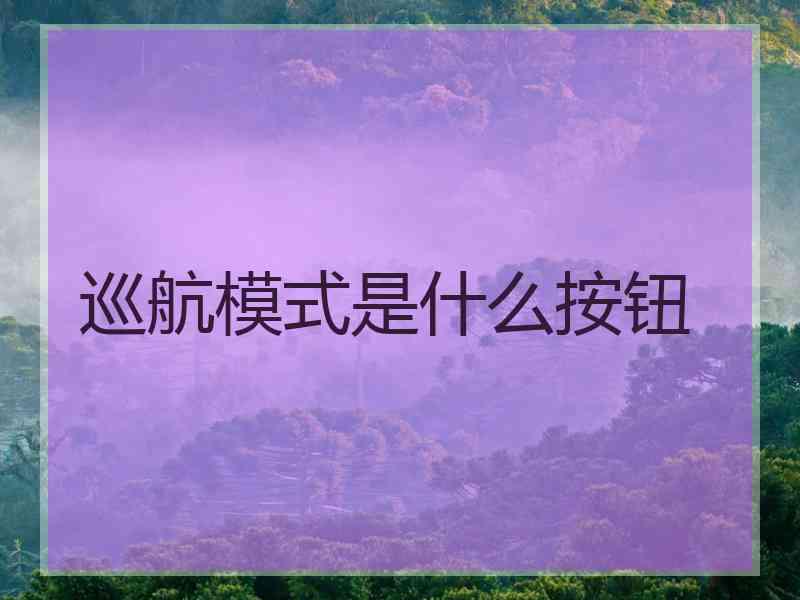 巡航模式是什么按钮
