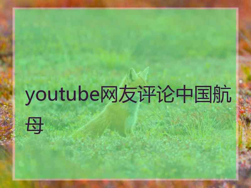 youtube网友评论中国航母