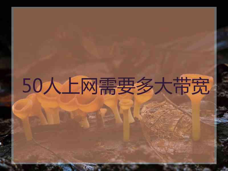 50人上网需要多大带宽