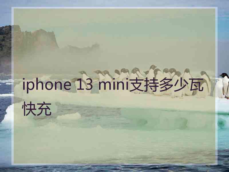 iphone 13 mini支持多少瓦快充