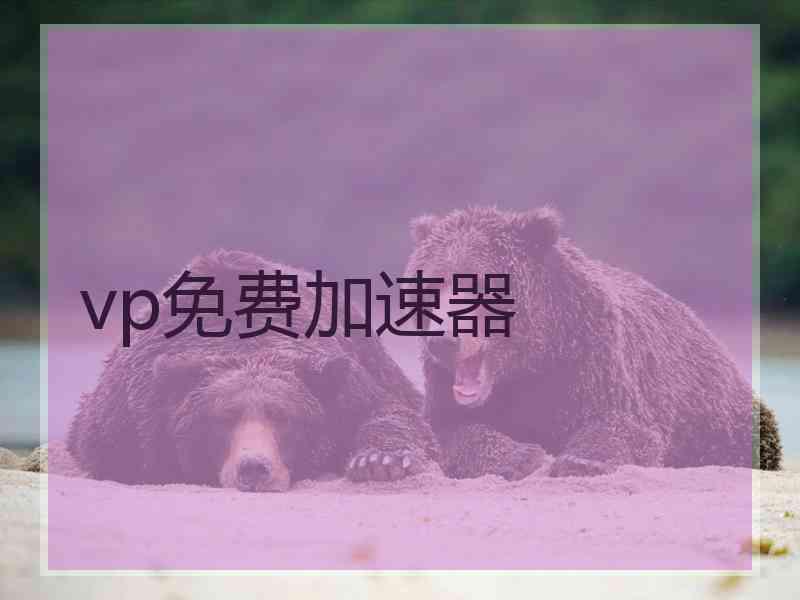 vp免费加速器