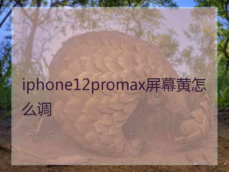 iphone12promax屏幕黄怎么调