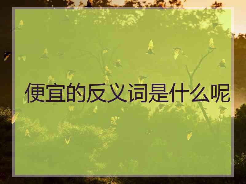 便宜的反义词是什么呢