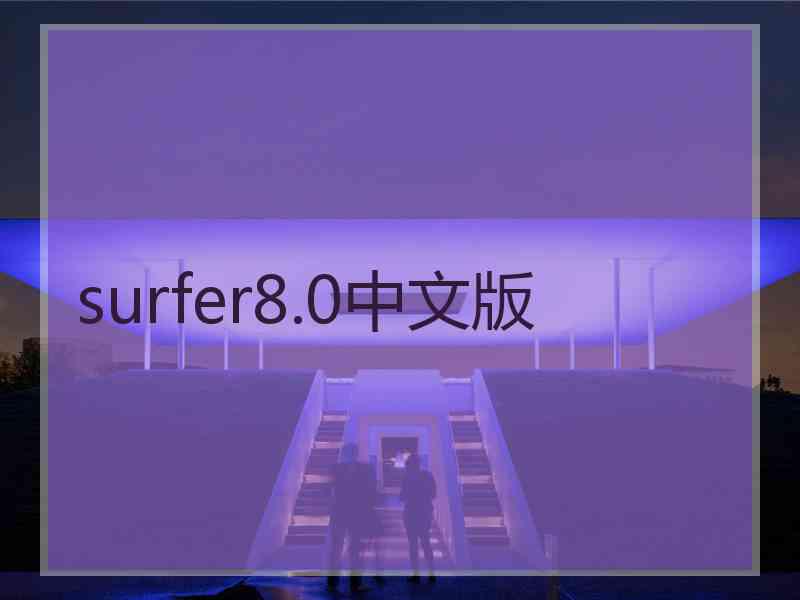 surfer8.0中文版