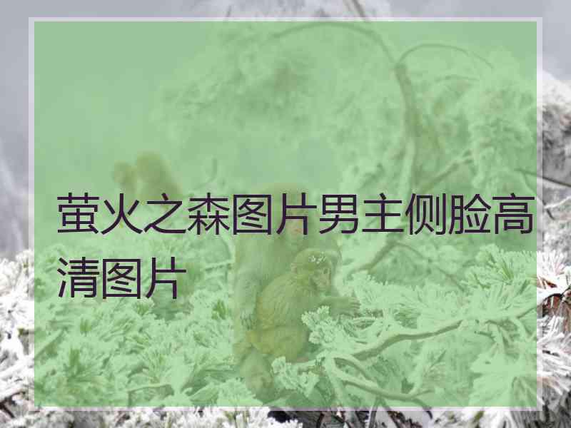 萤火之森图片男主侧脸高清图片