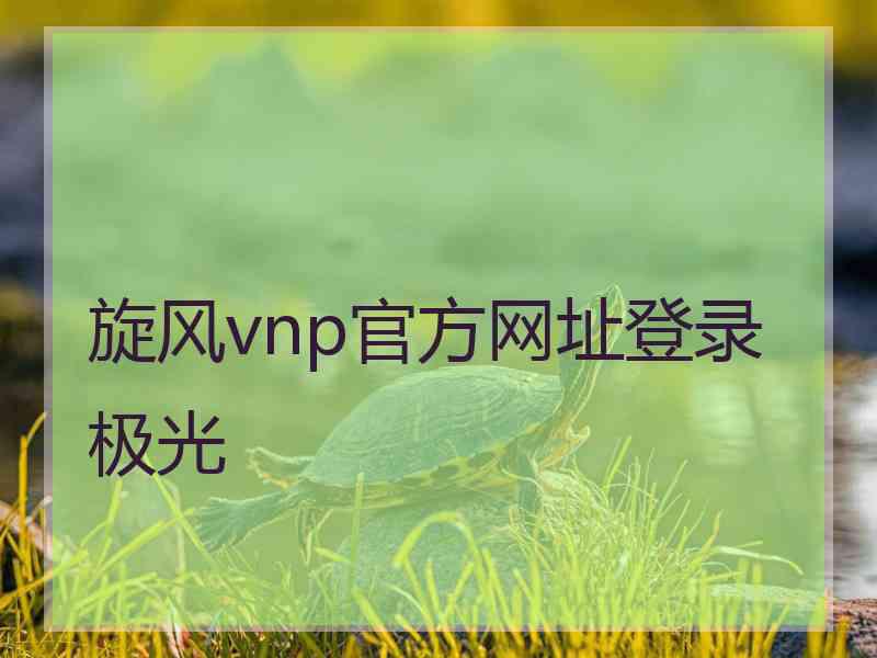 旋风vnp官方网址登录极光