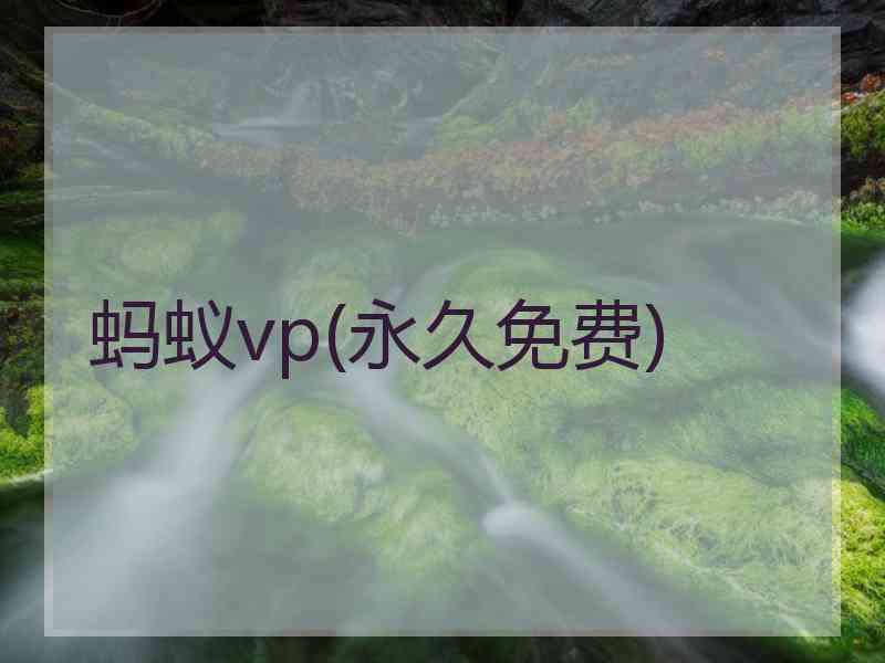 蚂蚁vp(永久免费)