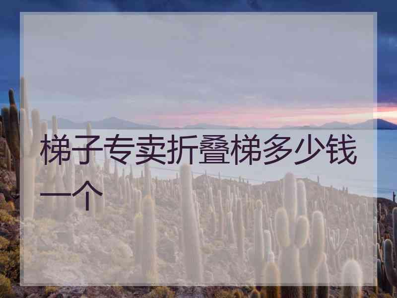 梯子专卖折叠梯多少钱一个
