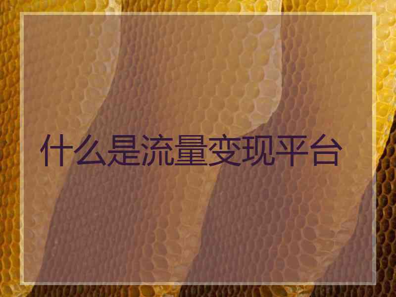 什么是流量变现平台