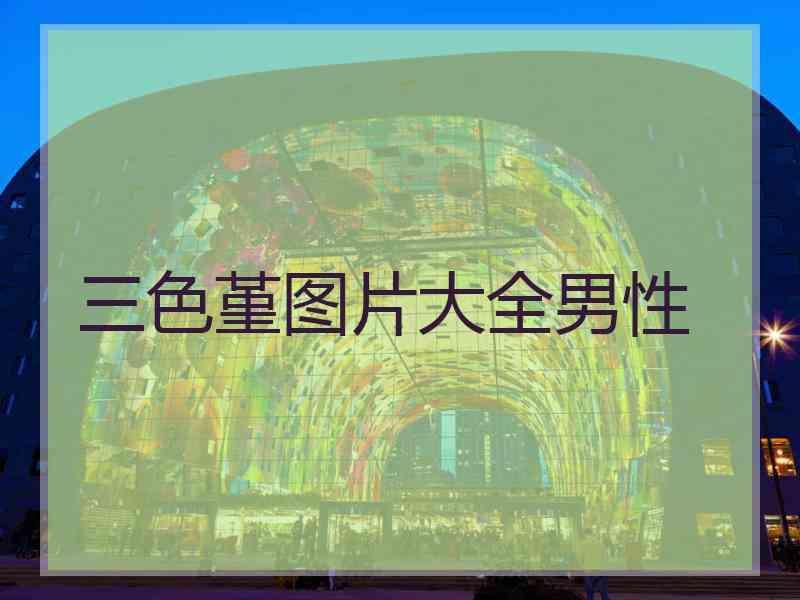 三色堇图片大全男性