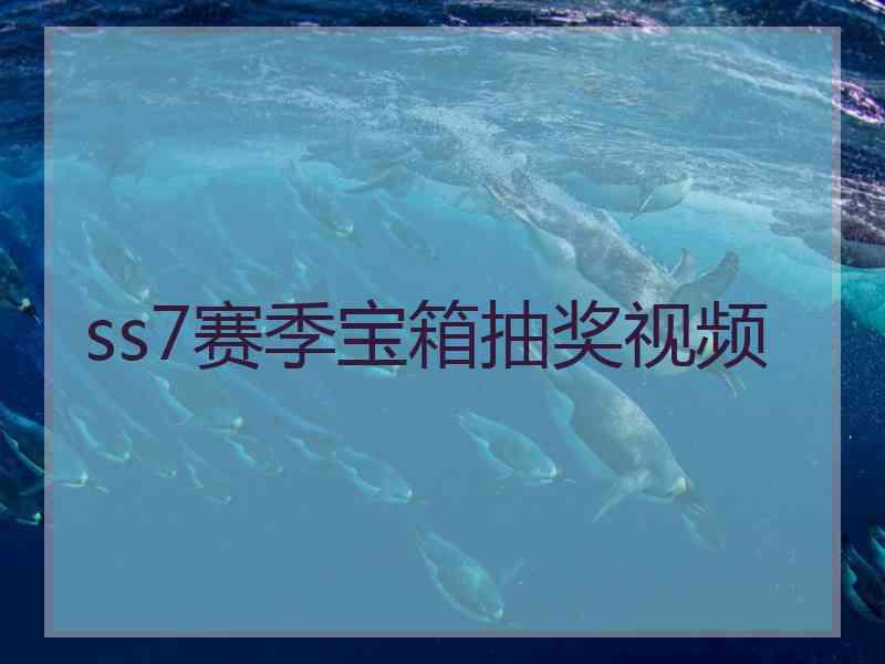 ss7赛季宝箱抽奖视频
