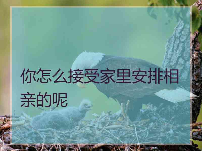 你怎么接受家里安排相亲的呢