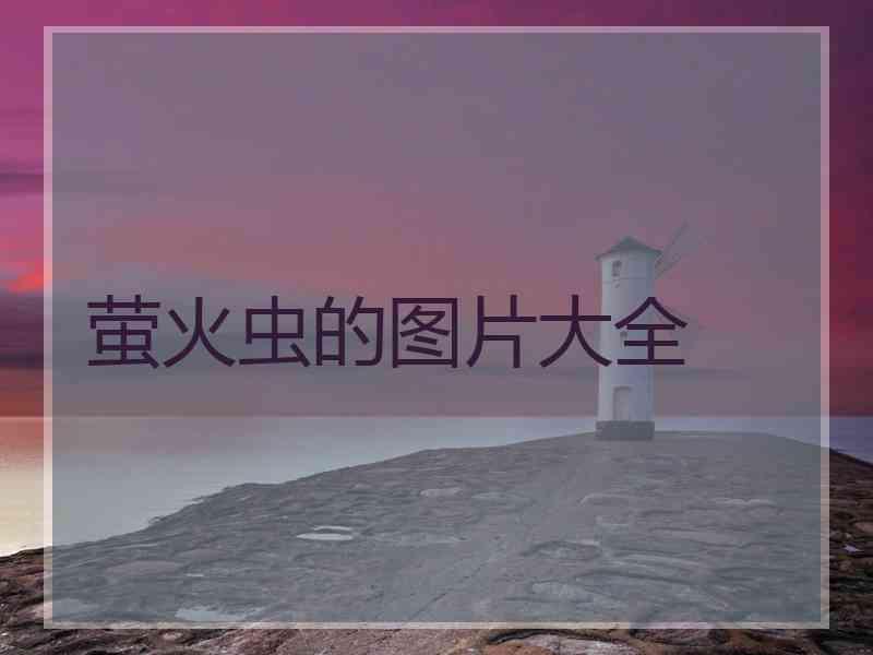 萤火虫的图片大全