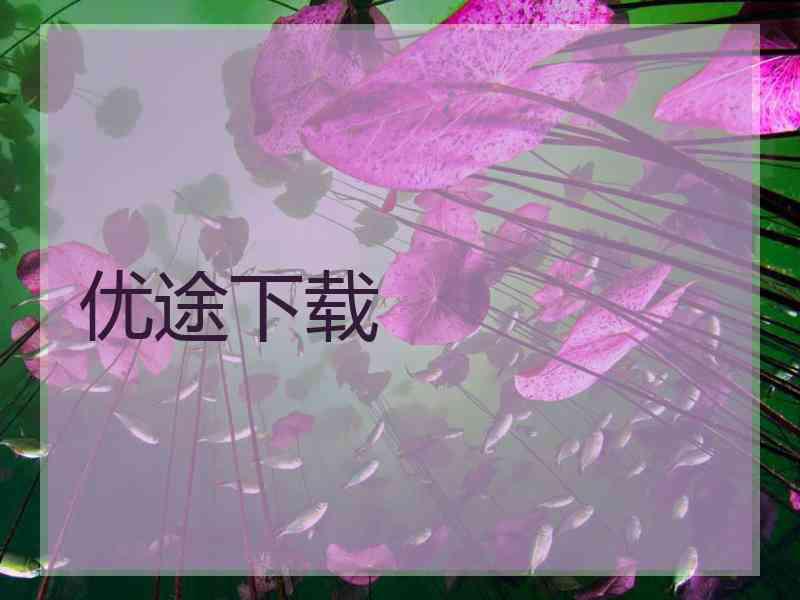 优途下载