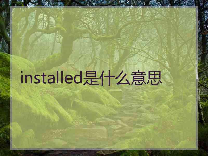 installed是什么意思