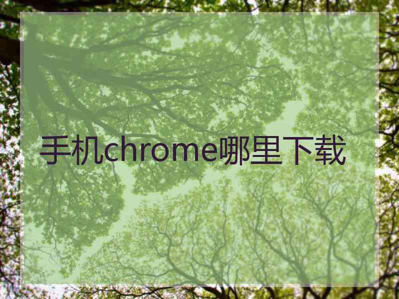 手机chrome哪里下载