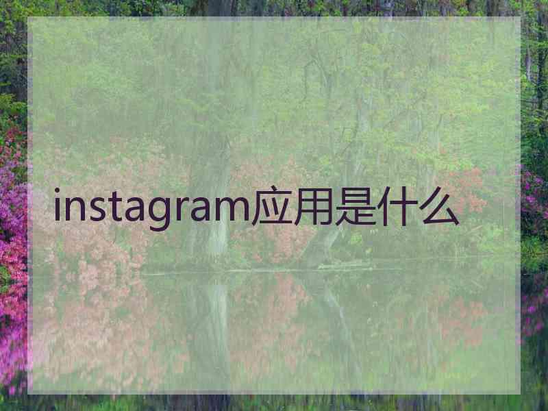 instagram应用是什么