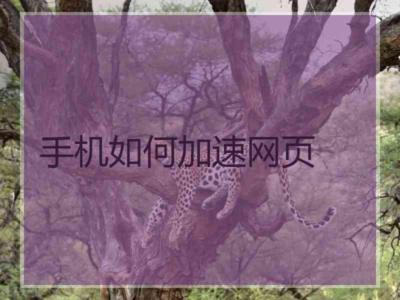 手机如何加速网页